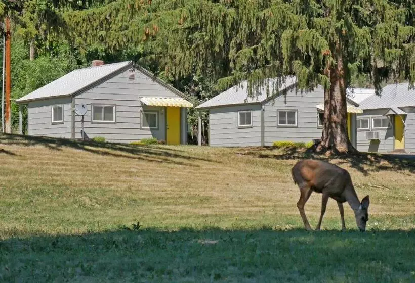 Idle A While Motel And Cabins