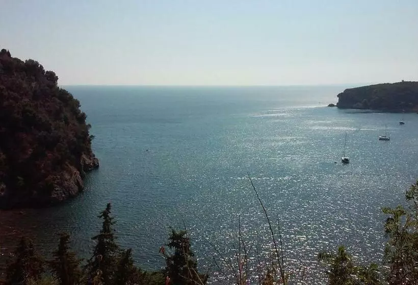 پانسیون Marina's House