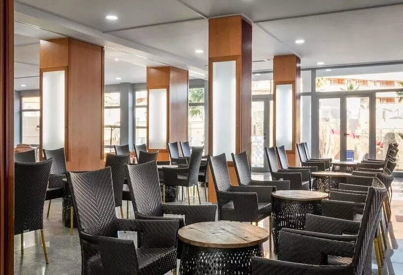 ALEGRIA Fenix Family