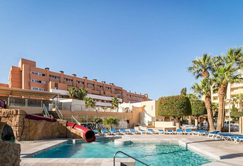 ALEGRIA Fenix Family