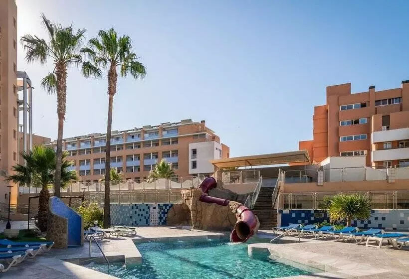 ALEGRIA Fenix Family