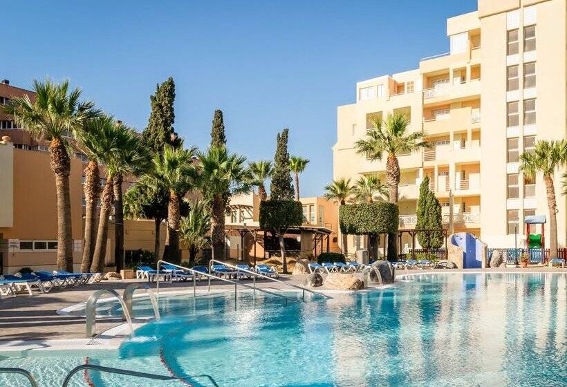 ALEGRIA Fenix Family