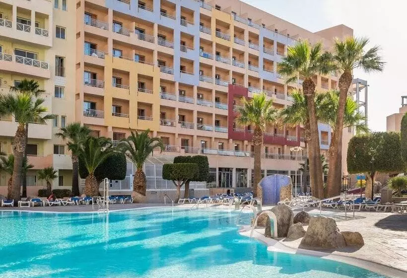 ALEGRIA Fenix Family