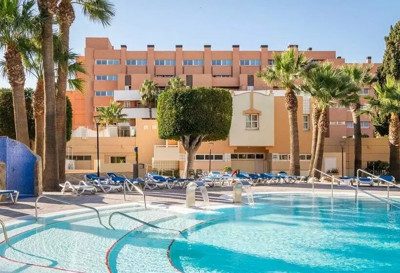 ALEGRIA Fenix Family