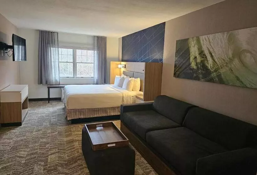 酒店 Springhill Suites By Marriott Freeport Brunswick