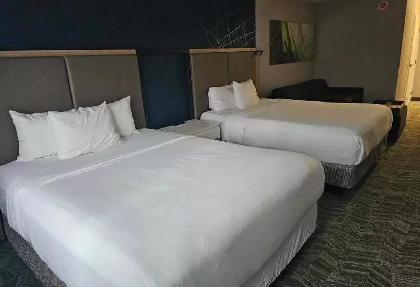 酒店 Springhill Suites By Marriott Freeport Brunswick