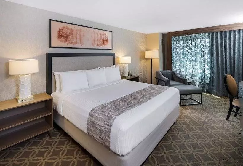 Cannery Hotel & Casino