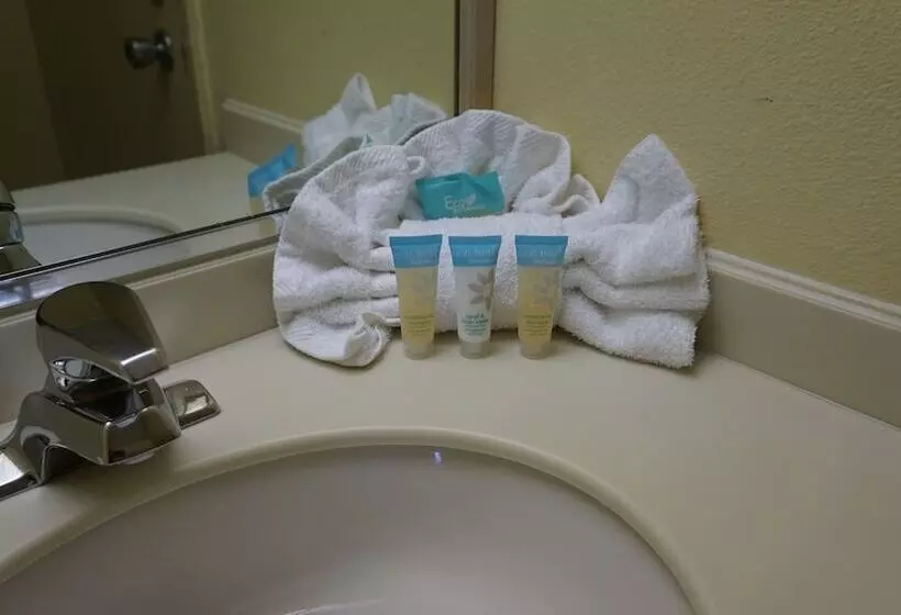 Hotel Renaissance Daytona Beach Oceanfront