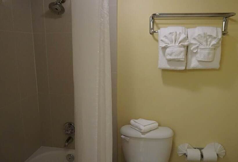 فندق Renaissance Daytona Beach Oceanfront