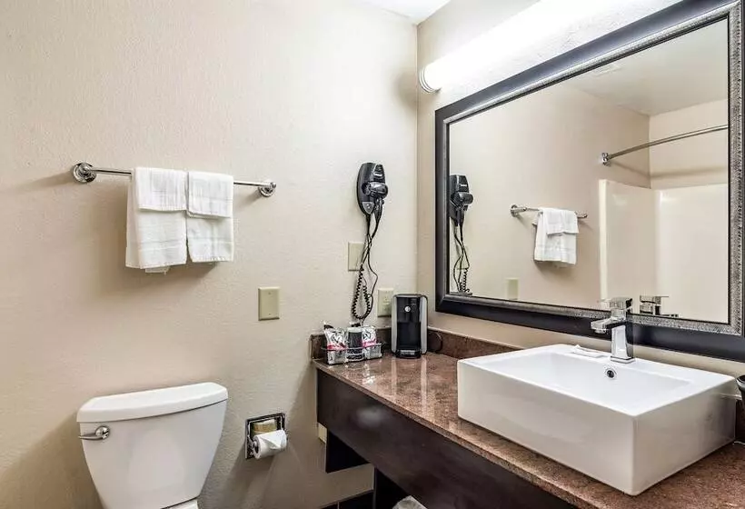 酒店 Red Roof Plus+ & Suites Atlanta Airport South