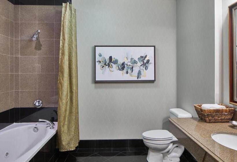 Otel Springhill Suites Memphis Downtown