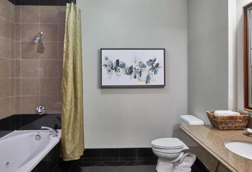 فندق Springhill Suites Memphis Downtown