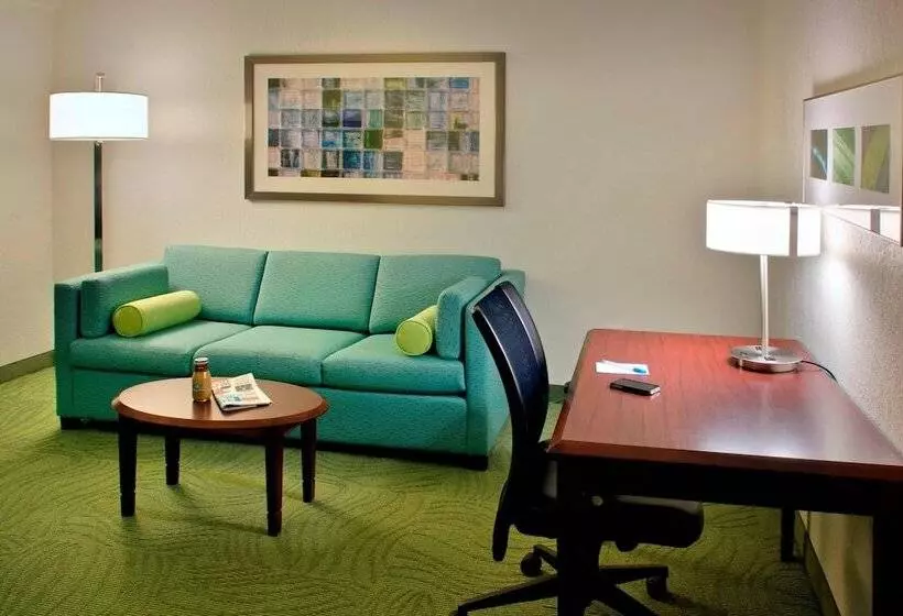 هتل Springhill Suites Philadelphia Plymouth Meeting
