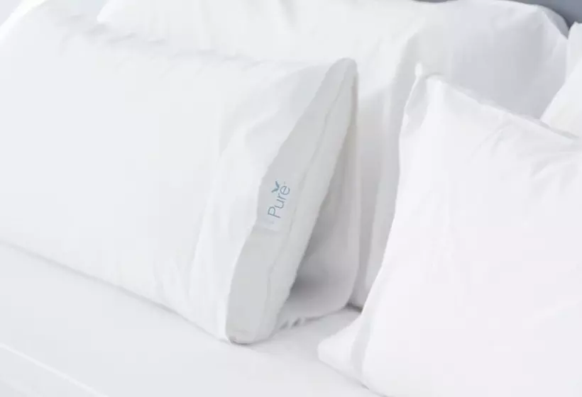 هتل Springhill Suites Philadelphia Plymouth Meeting