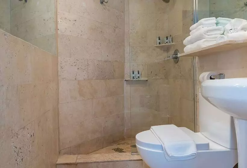 בית מלון כפרי Whitelaw