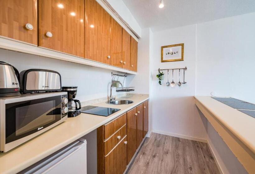 Roca Verde Playa del Inglés