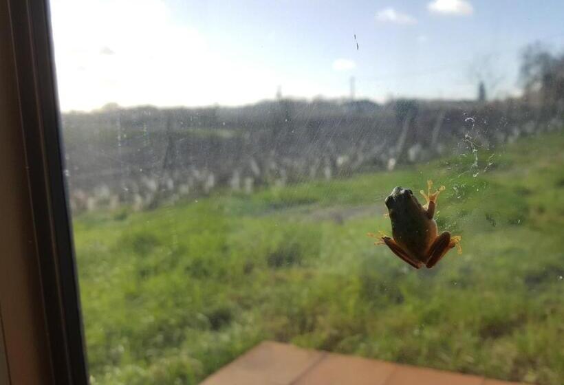 Bed and Breakfast Chateau Le Truch