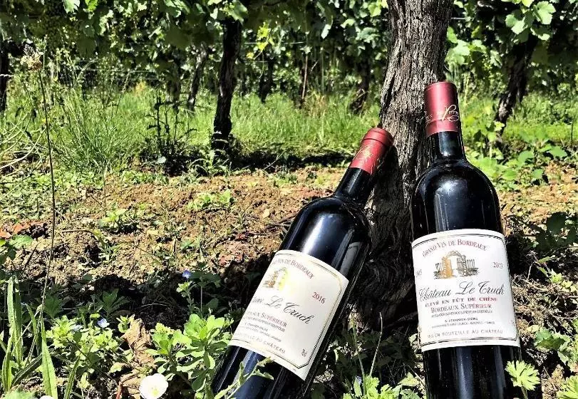 تختخواب و صبحانه Chateau Le Truch