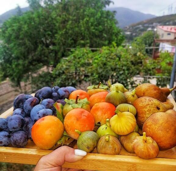 تختخواب و صبحانه Elegaya Guest House