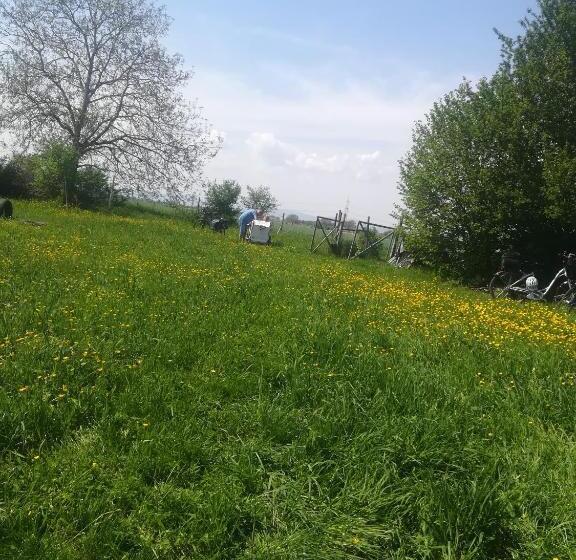 בית מלון כפרי Brauhaus Fröschl