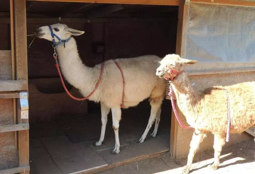 Hotelli Brauhaus Fröschl