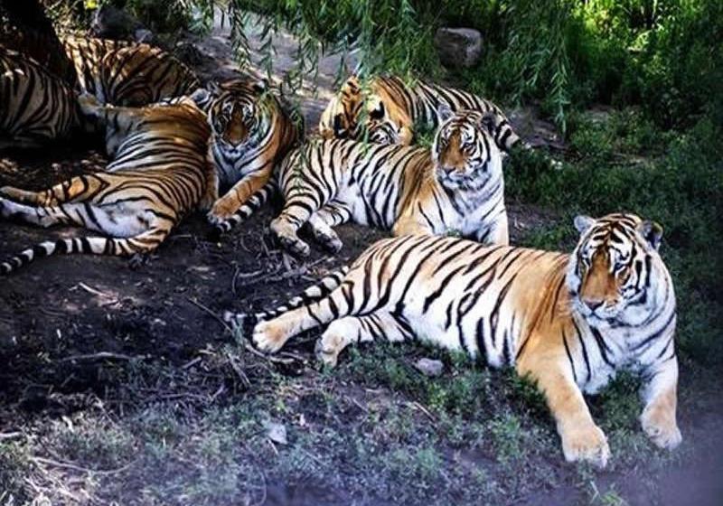 Hôtel 7days Inn Harbin West Railway Branch