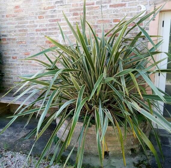 La Casa Di Tara B&b Armonia E Natura