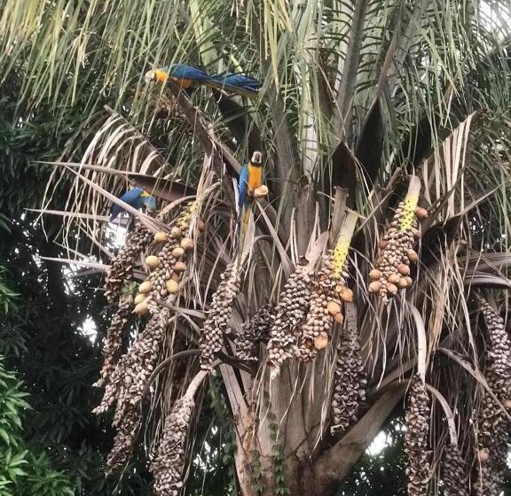 בית מלון כפרי Alameda