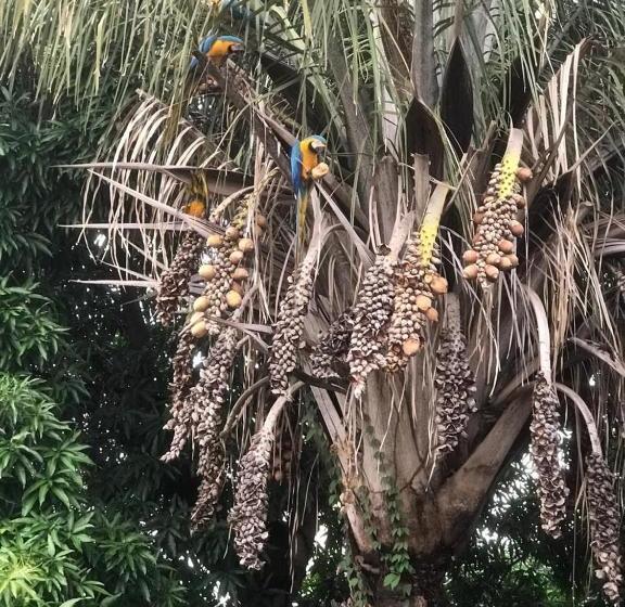 בית מלון כפרי Alameda