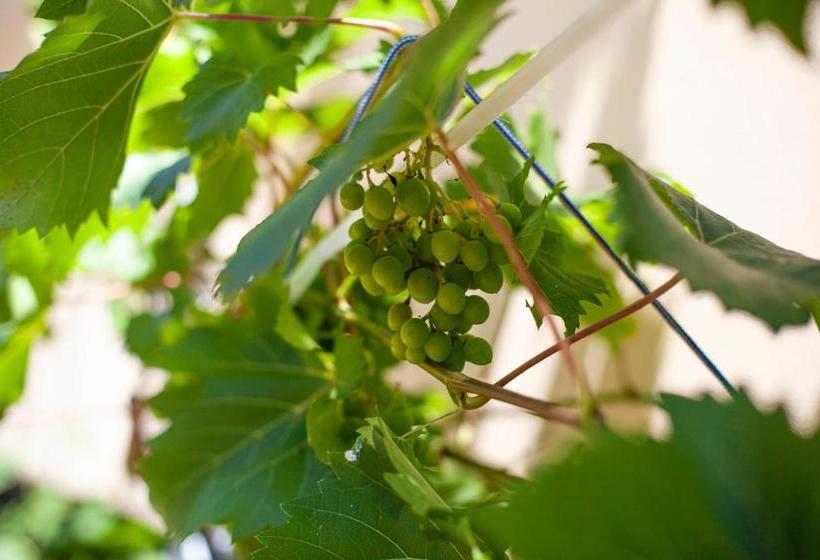 George Hotel Rooms&suites