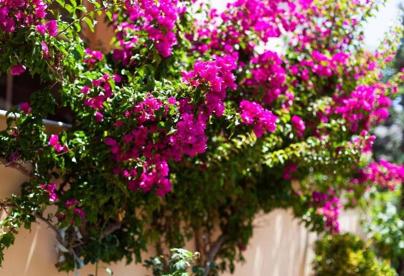 George Hotel Rooms&suites