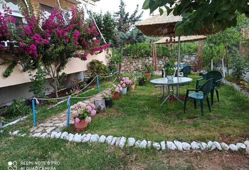 George Hotel Rooms&suites