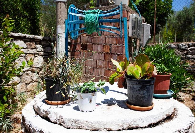 George Hotel Rooms&suites