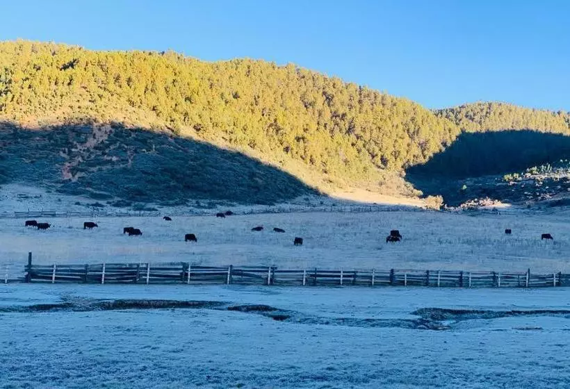 Hotelli Shangri La Dala Pasture