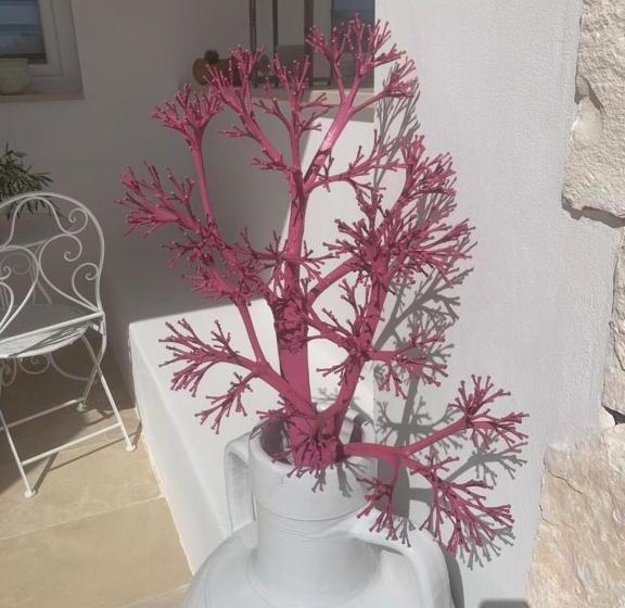 민박 Feudi Mandolivo