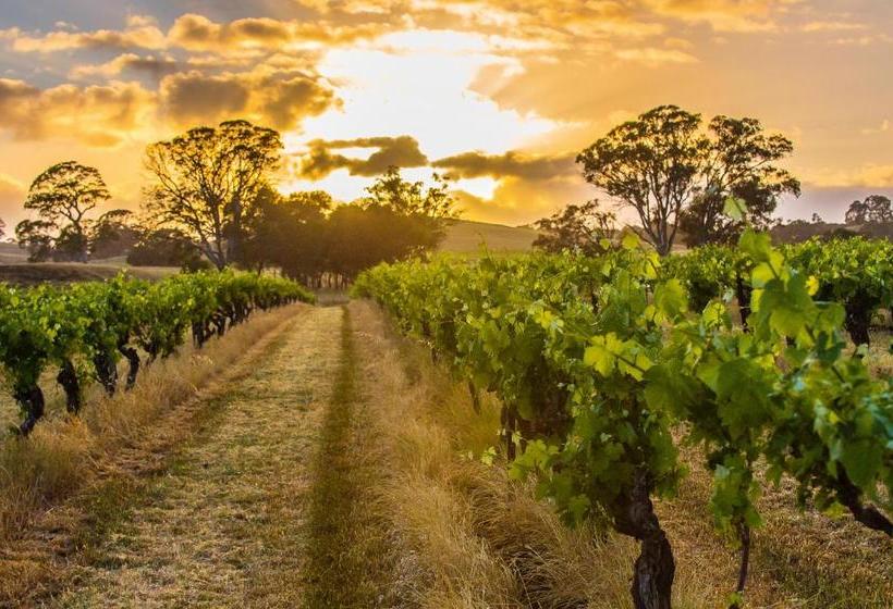 צימר Hutton Vale Farm Jha Stone Cellar