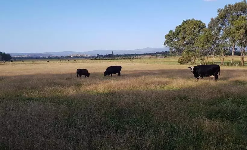 تختخواب و صبحانه Olinda Yarra Cottage