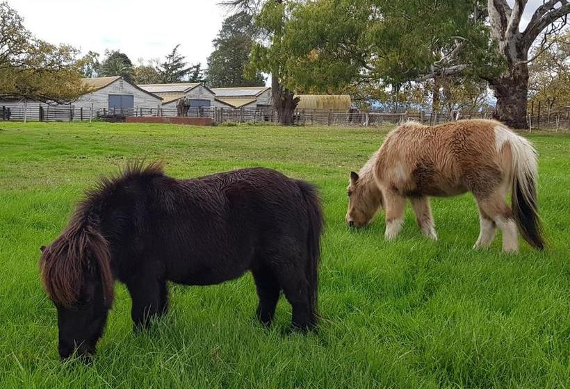 ベッドアンドブレックファースト Olinda Yarra Cottage