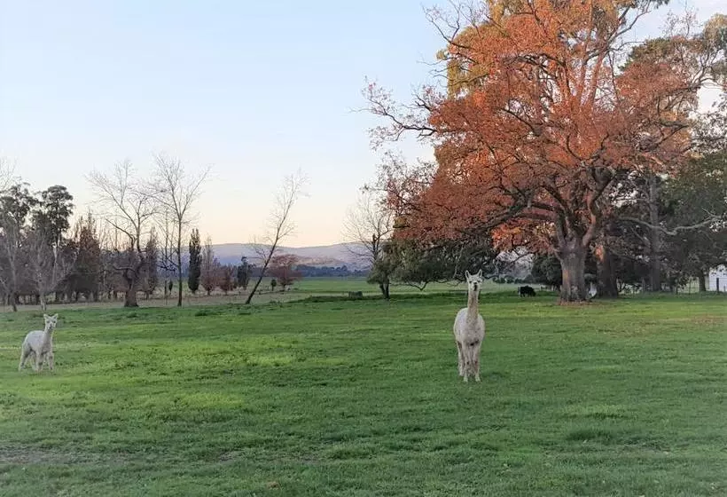 تختخواب و صبحانه Olinda Yarra Cottage