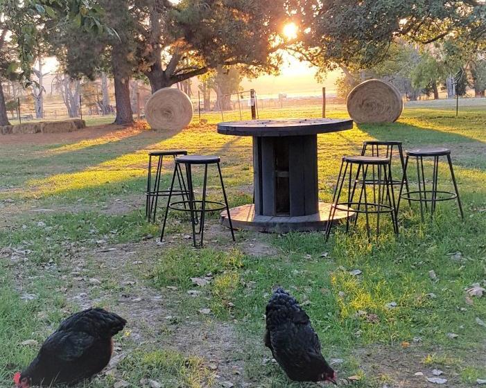 ベッドアンドブレックファースト Olinda Yarra Cottage