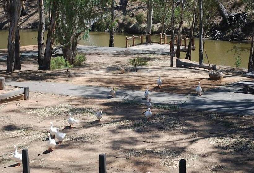 酒店 Campaspe Lodge