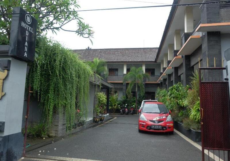 בית מלון כפרי Diana 1