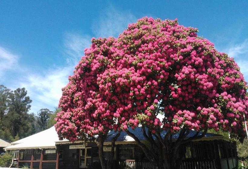 Мотель Crossways Country Inn