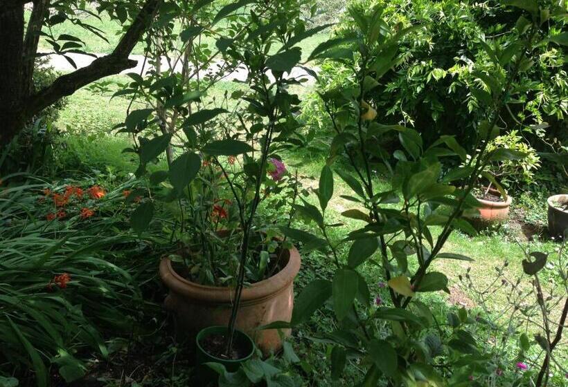 Мотель Crossways Country Inn