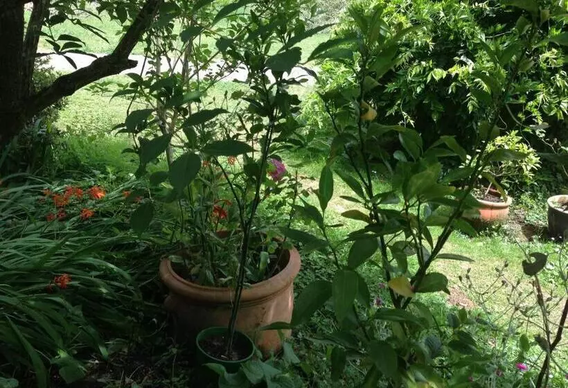 Motelli Crossways Country Inn