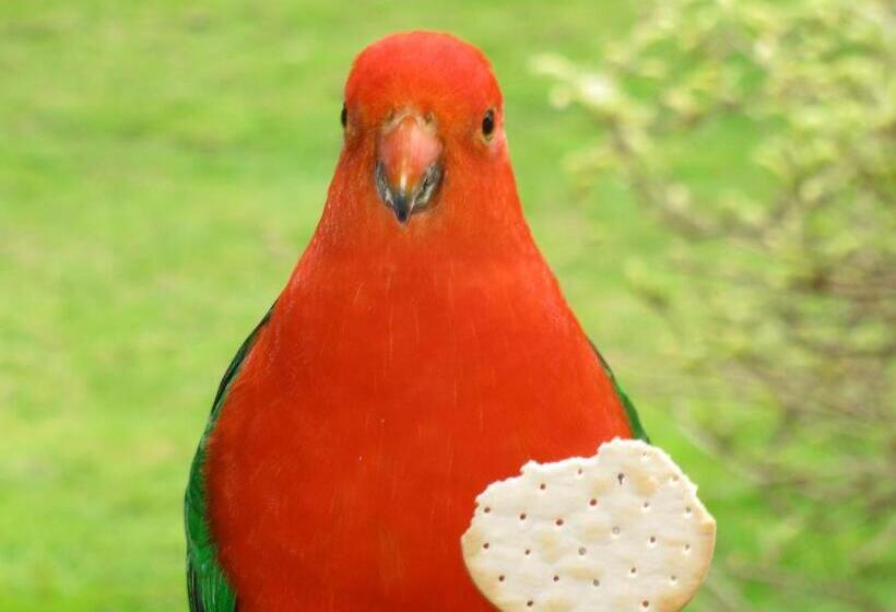 汽车旅馆 Crossways Country Inn