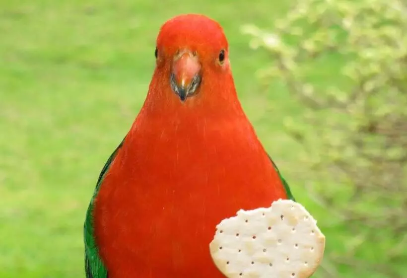 Motelli Crossways Country Inn