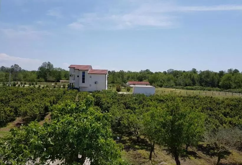 پانسیون Apartments Catalic