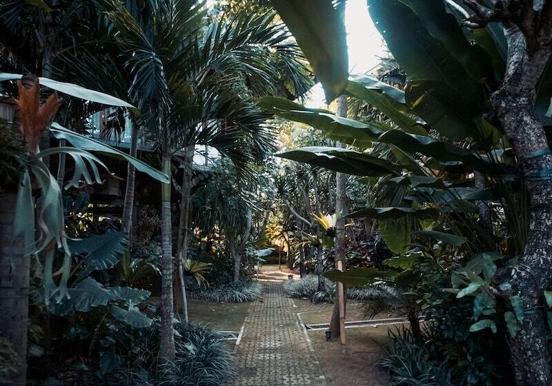 Panzió Grün Canggu Garden