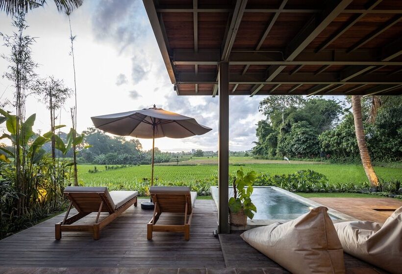 Panzió Grün Canggu Garden